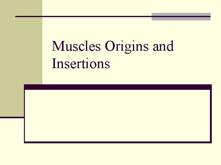Muscles Origins and Insertions Muscles Origins and Insertions