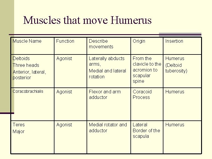 Muscles that move Humerus Muscle Name Function Describe movements Origin Insertion Deltoids Three heads Muscles that move Humerus Muscle Name Function Describe movements Origin Insertion Deltoids Three heads