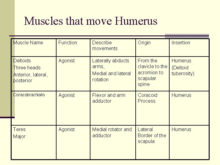 Muscles that move Humerus Muscle Name Function Describe movements Origin Insertion Deltoids Three heads