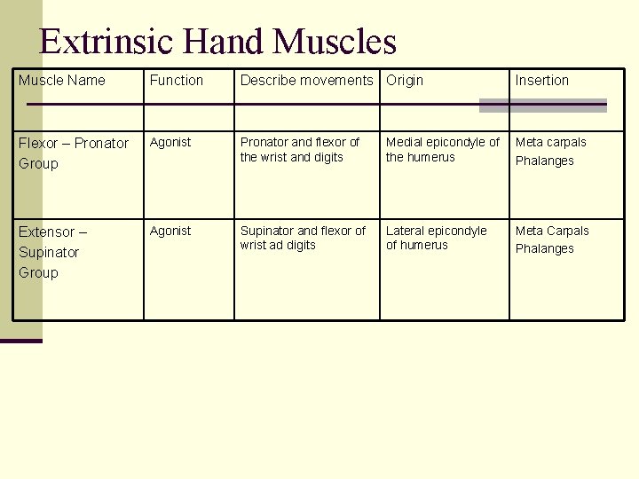 Extrinsic Hand Muscles Muscle Name Function Describe movements Origin Insertion Flexor – Pronator Group