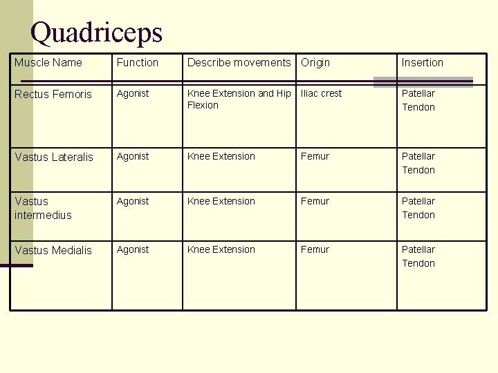 Quadriceps Muscle Name Function Describe movements Origin Insertion Rectus Femoris Agonist Knee Extension and