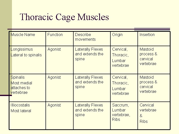 Thoracic Cage Muscles Muscle Name Function Describe movements Origin Insertion Longissimus Lateral to spinalis Thoracic Cage Muscles Muscle Name Function Describe movements Origin Insertion Longissimus Lateral to spinalis