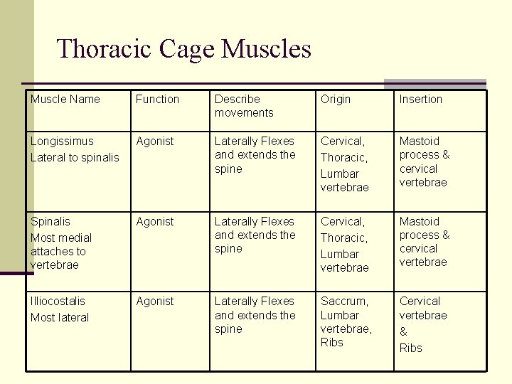 Thoracic Cage Muscles Muscle Name Function Describe movements Origin Insertion Longissimus Lateral to spinalis