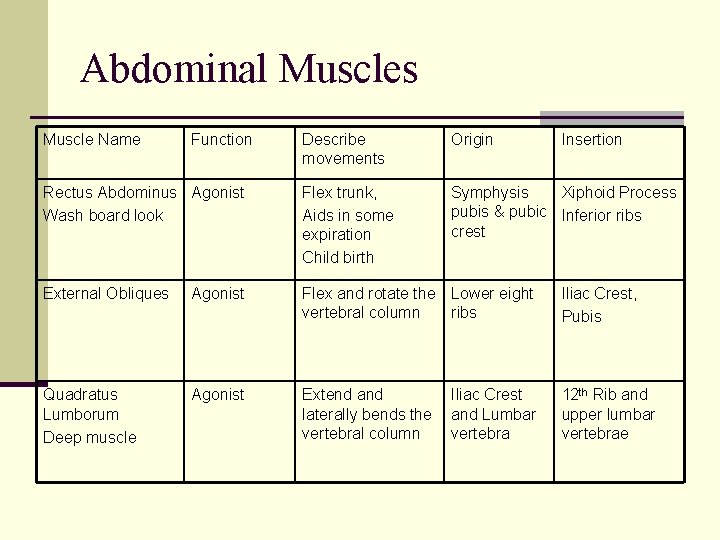 Abdominal Muscles Muscle Name Function Describe movements Origin Rectus Abdominus Agonist Wash board look