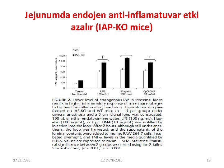 Jejunumda endojen anti-inflamatuvar etki azalır (IAP-KO mice) 27. 11. 2020 12. DCYB-2015 12 