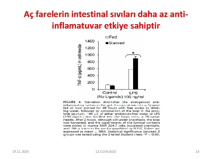 Aç farelerin intestinal sıvıları daha az antiinflamatuvar etkiye sahiptir 27. 11. 2020 12. DCYB-2015