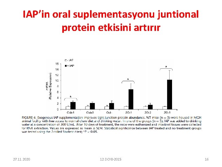 IAP’in oral suplementasyonu juntional protein etkisini artırır 27. 11. 2020 12. DCYB-2015 16 