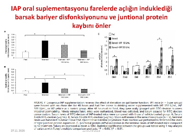 IAP oral suplementasyonu farelerde açlığın induklediği barsak bariyer disfonksiyonunu ve juntional protein kaybını önler