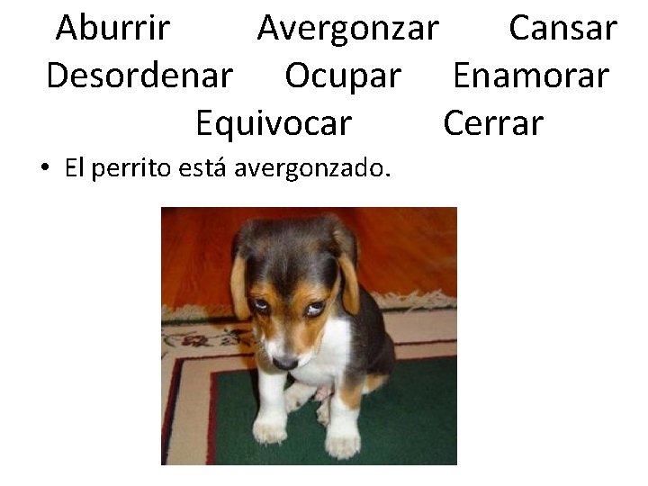 Aburrir Avergonzar Cansar Desordenar Ocupar Enamorar Equivocar Cerrar • El perrito está avergonzado. 