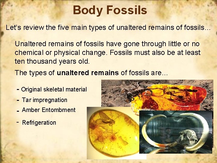 Body Fossils Let’s review the five main types of unaltered remains of fossils… Unaltered