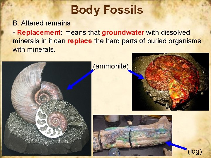 Body Fossils B. Altered remains - Replacement: means that groundwater with dissolved minerals in