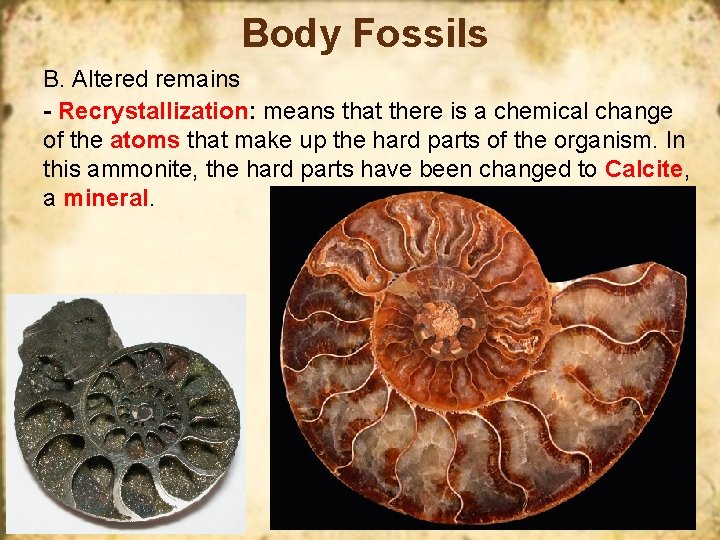 Body Fossils B. Altered remains - Recrystallization: means that there is a chemical change