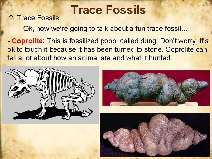 Trace Fossils 2. Trace Fossils Ok, now we’re going to talk about a fun