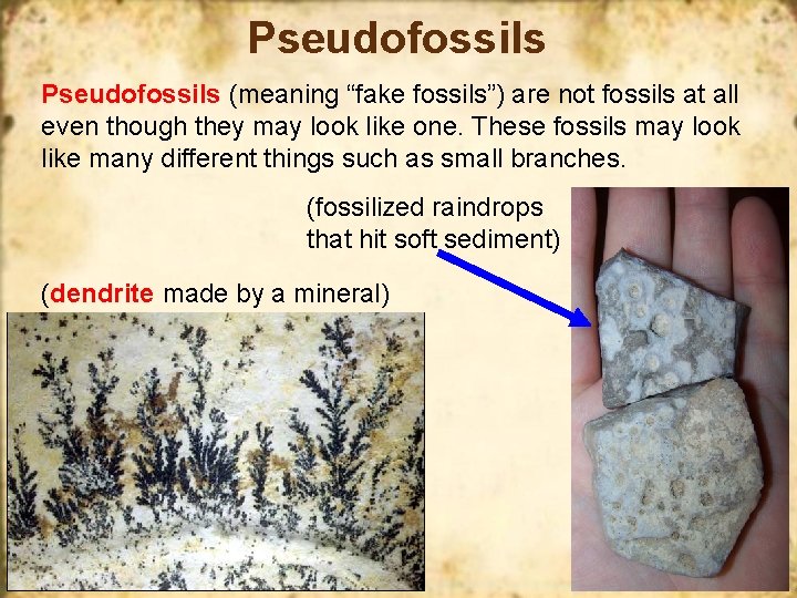 Pseudofossils (meaning “fake fossils”) are not fossils at all even though they may look