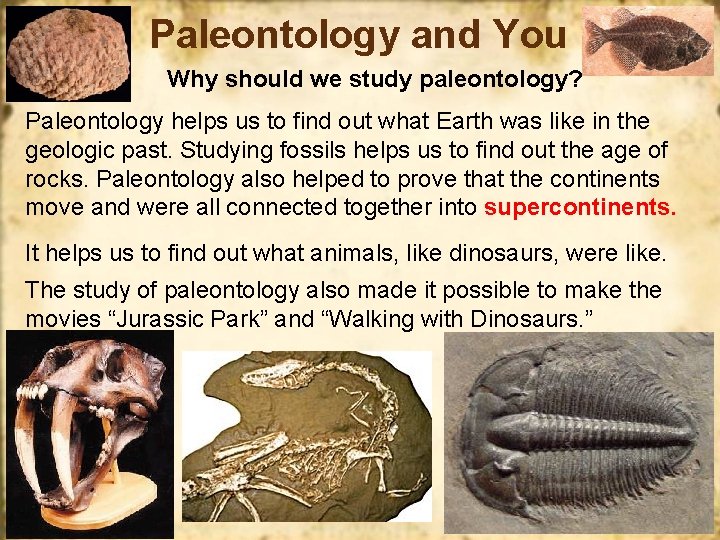 Paleontology and You Why should we study paleontology? Paleontology helps us to find out