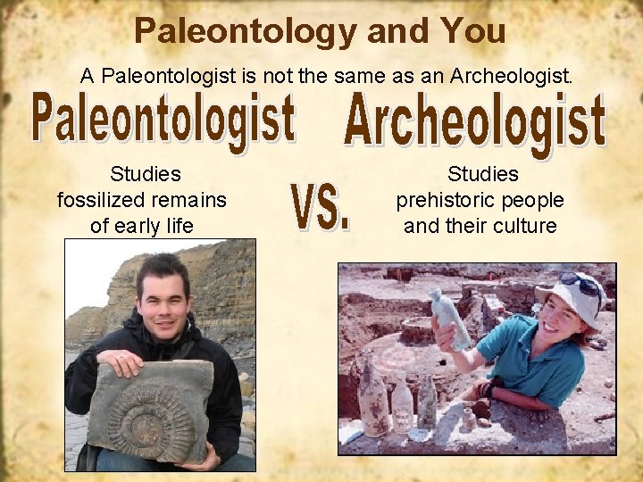 Paleontology and You A Paleontologist is not the same as an Archeologist. Studies fossilized