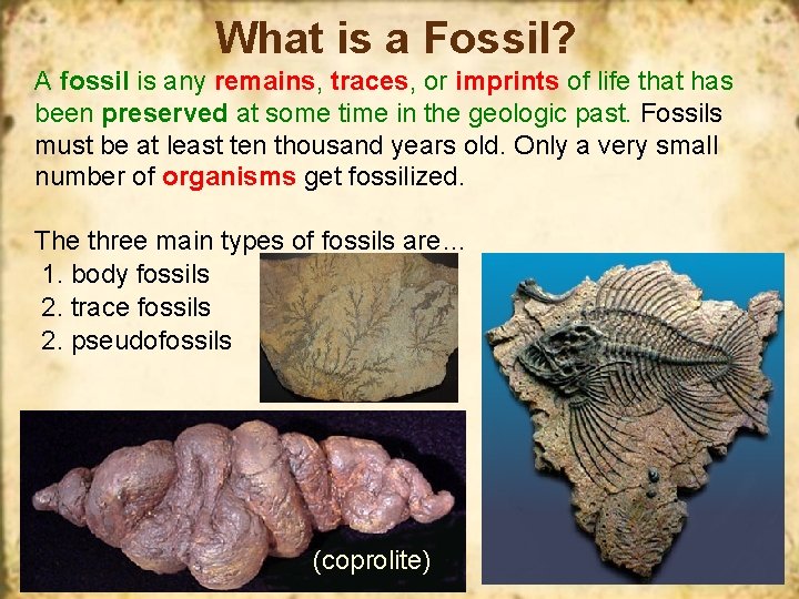 What is a Fossil? A fossil is any remains, traces, or imprints of life