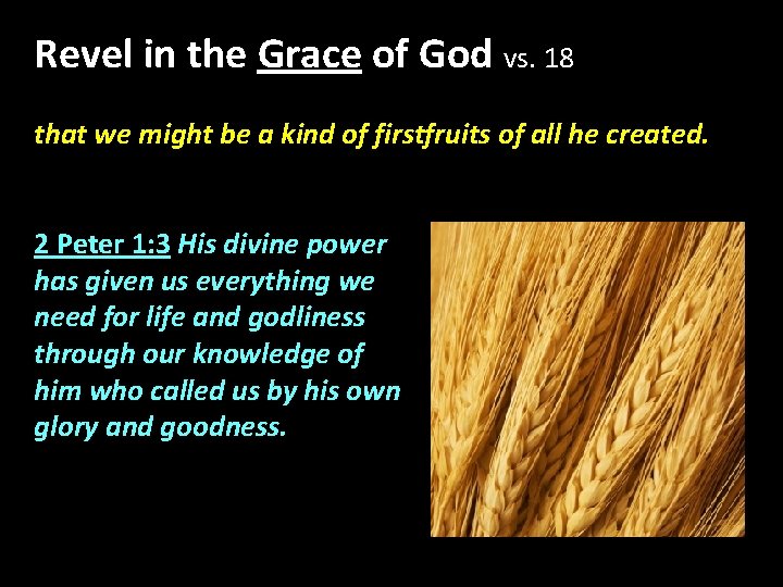 Revel in the Grace of God vs. 18 that we might be a kind Revel in the Grace of God vs. 18 that we might be a kind
