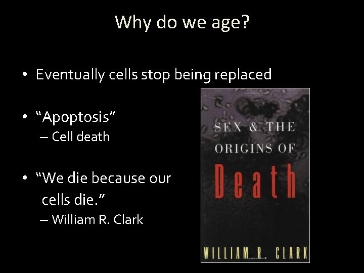 Why do we age? • Eventually cells stop being replaced • “Apoptosis” – Cell
