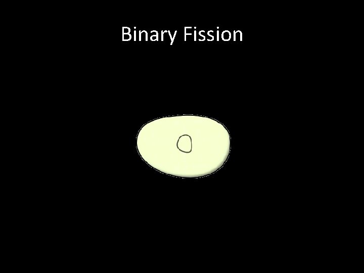 Binary Fission 