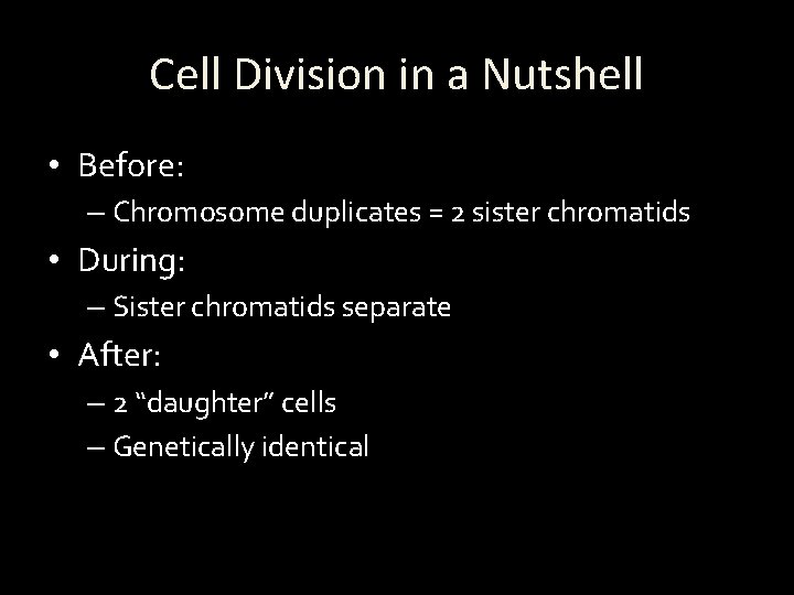 Cell Division in a Nutshell • Before: – Chromosome duplicates = 2 sister chromatids