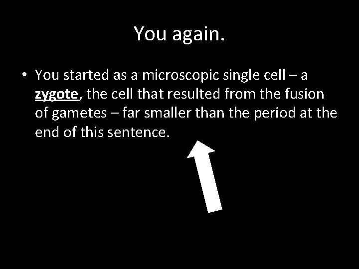 You again. • You started as a microscopic single cell – a zygote, the