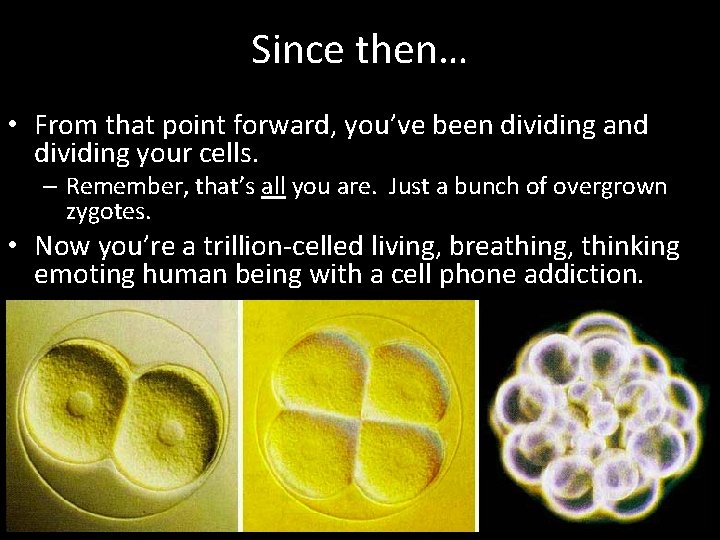 Since then… • From that point forward, you’ve been dividing and dividing your cells.
