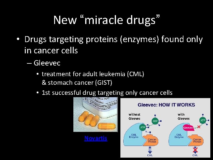 New “miracle drugs” • Drugs targeting proteins (enzymes) found only in cancer cells –