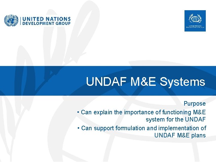 UNDAF M&E Systems Purpose • Can explain the importance of functioning M&E system for