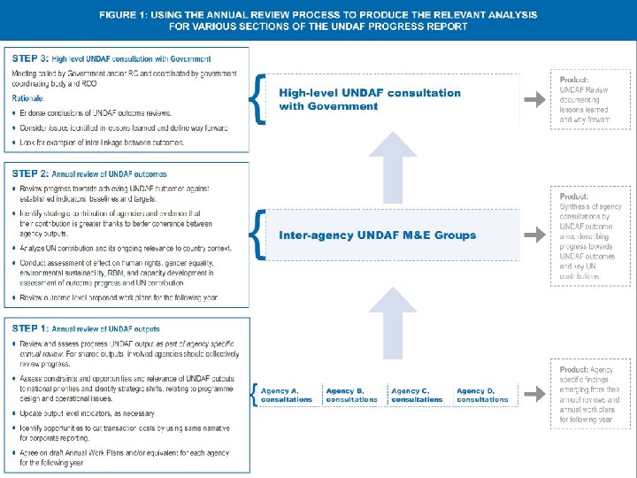 UNDAF Annual Review 