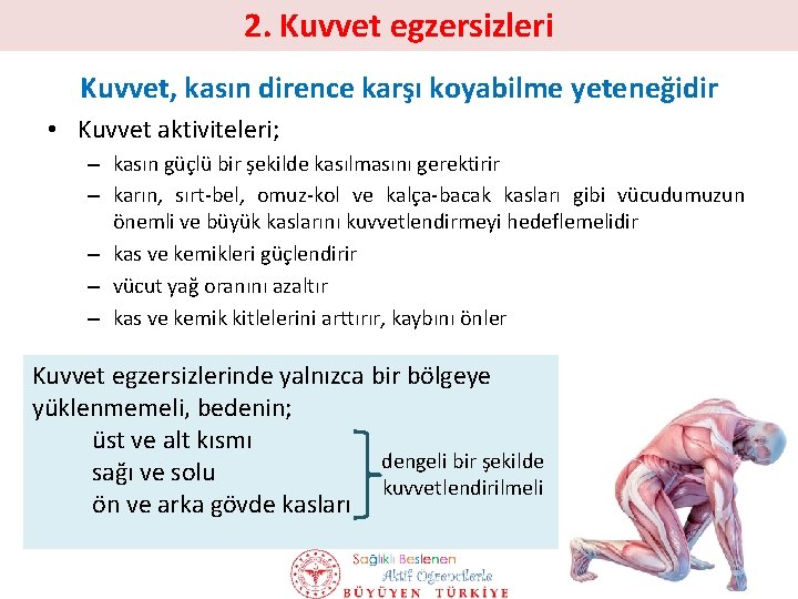 2. Kuvvet egzersizleri Kuvvet, kasın dirence karşı koyabilme yeteneğidir • Kuvvet aktiviteleri; – kasın