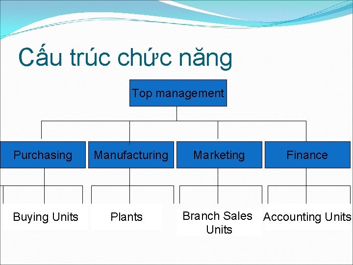 Cấu trúc chức năng Top management Purchasing Buying Units Manufacturing Plants Marketing Finance Branch