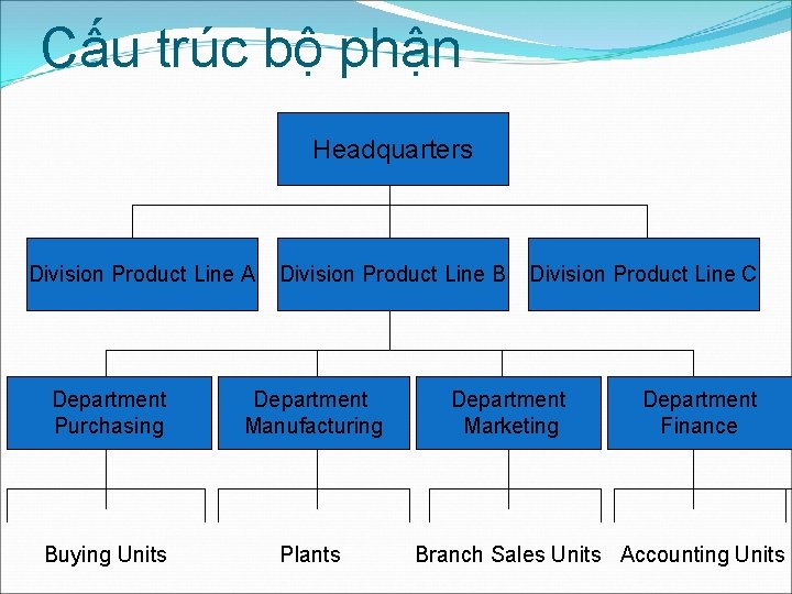 Cấu trúc bộ phận Headquarters Division Product Line A Division Product Line B Department