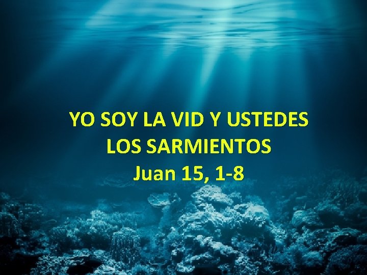 YO SOY LA VID Y USTEDES LOS SARMIENTOS Juan 15, 1 -8 
