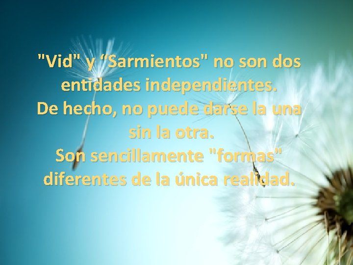 "Vid" y “Sarmientos" no son dos entidades independientes. De hecho, no puede darse la