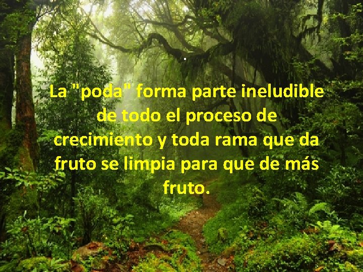 . La "poda" forma parte ineludible de todo el proceso de crecimiento y toda