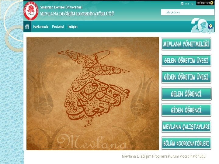 Mevlana D eğişim Programı Kurum Koordinatörlüğü 