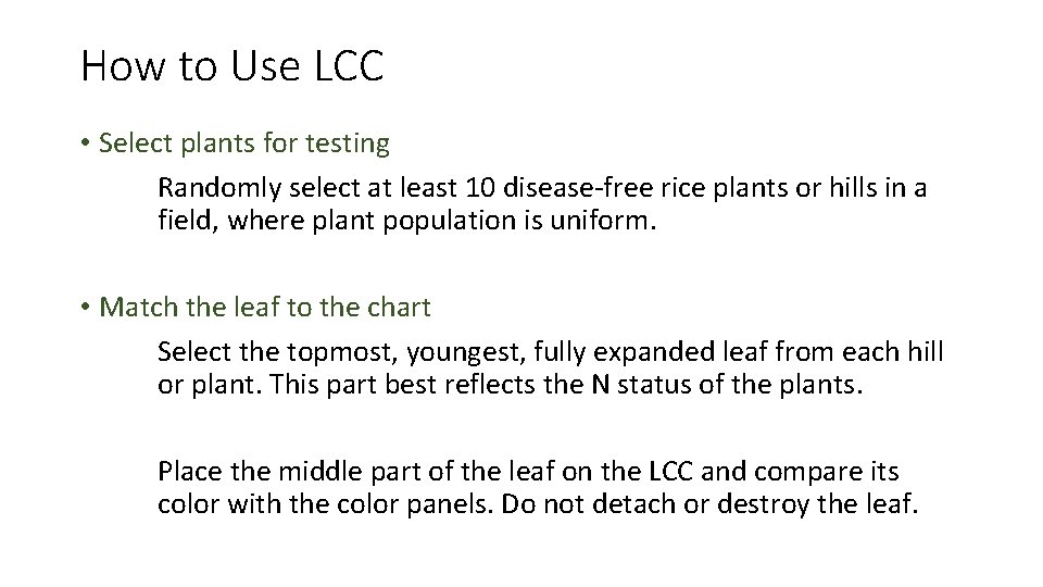 How to Use LCC • Select plants for testing Randomly select at least 10