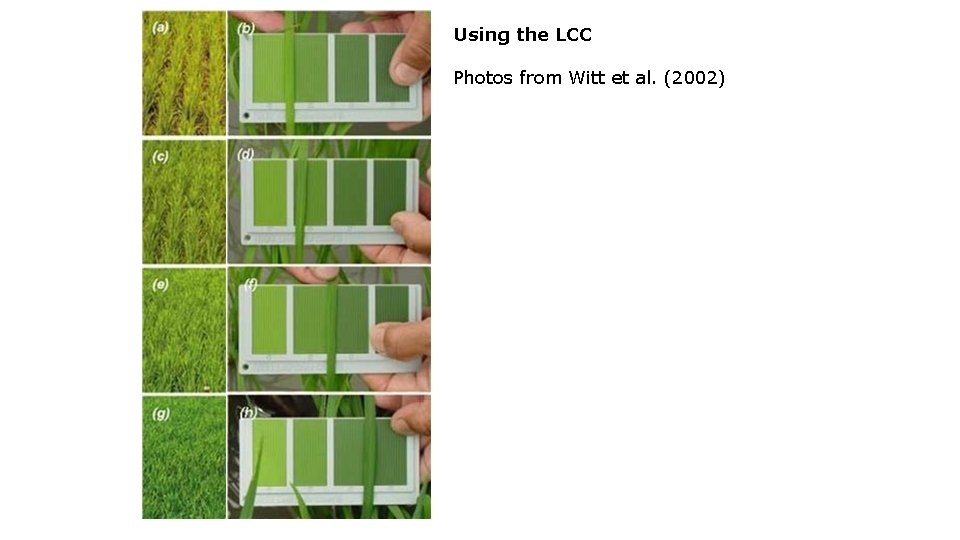 Using the LCC Photos from Witt et al. (2002) 