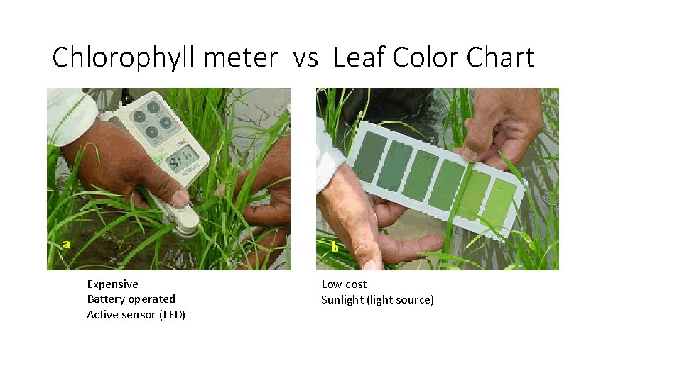 Chlorophyll meter vs Leaf Color Chart Expensive Battery operated Active sensor (LED) Low cost