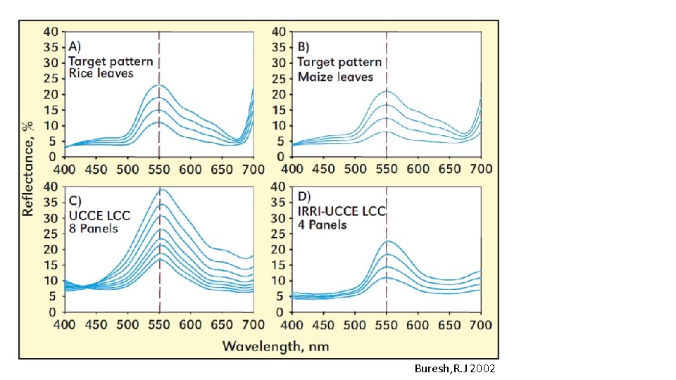 Buresh, R. J 2002 