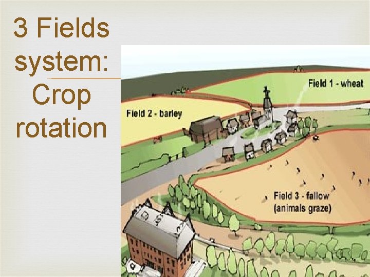 3 Fields system: Crop rotation 