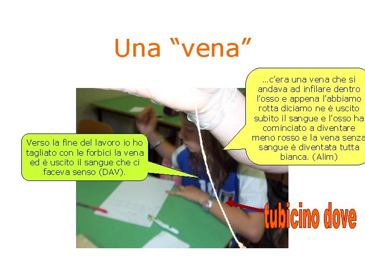 Una “vena” Verso la fine del lavoro io ho tagliato con le forbici la