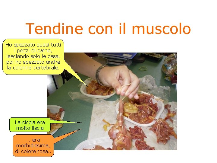 Tendine con il muscolo Ho spezzato quasi tutti i pezzi di carne, lasciando solo