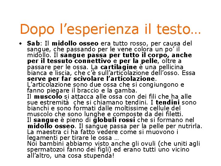 Dopo l’esperienza il testo… • Sab: Il midollo osseo era tutto rosso, per causa