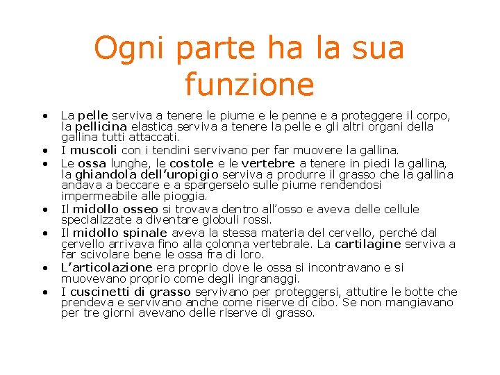 Ogni parte ha la sua funzione • • La pelle serviva a tenere le