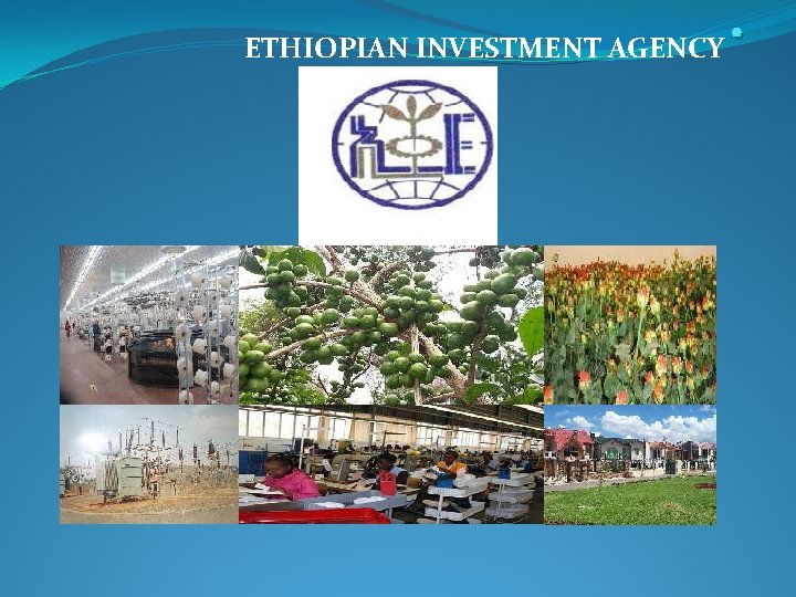 . ETHIOPIAN INVESTMENT AGENCY 