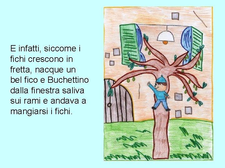 E infatti, siccome i fichi crescono in fretta, nacque un bel fico e Buchettino