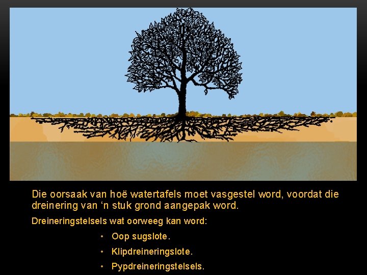 Die oorsaak van hoë watertafels moet vasgestel word, voordat die dreinering van ‘n stuk