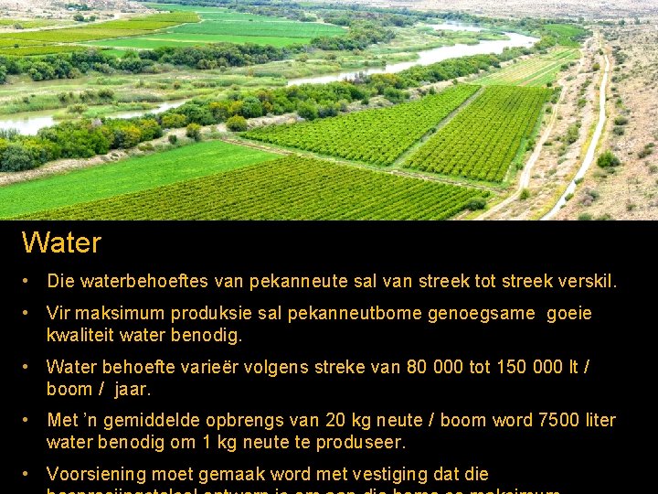 Water • Die waterbehoeftes van pekanneute sal van streek tot streek verskil. • Vir Water • Die waterbehoeftes van pekanneute sal van streek tot streek verskil. • Vir